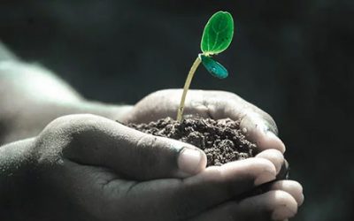 A Helping Hand for the Journey of Recovery