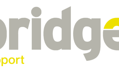 Bridge in 2026: What’s Coming and Why 